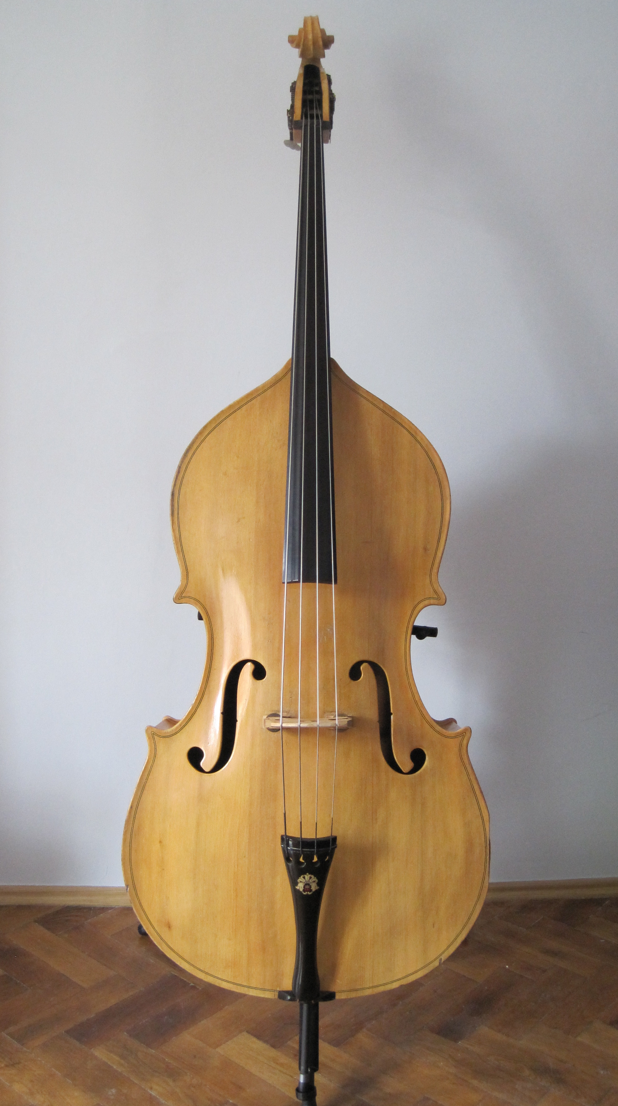 Acoustic Upright Bass